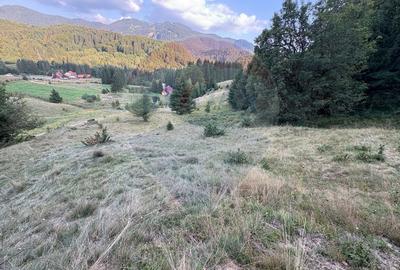 Teren agricol intravilan de 2050 mp, în Poiana Brașov