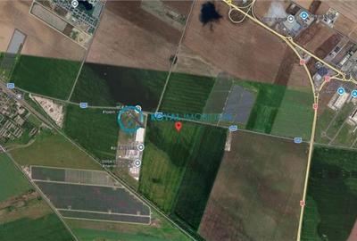 Teren extravilan de 37500 mp, în Păulești