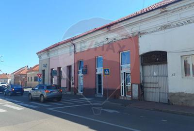Apartament cu o camera la curte de vanzare pe Ady Endre, Oradea, Bihor - 9