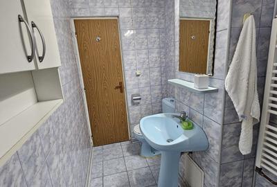 Baba Novac/Dristor/Centrala Prorpie/Ap 2 Camere decomandat/ - 11