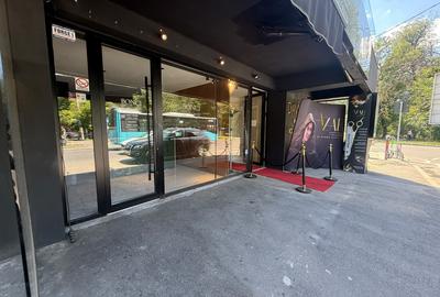 Spațiu HoReCa Premium cu Terasă | Ficusului – Herăstrău | Vitrină Stradală | - 2