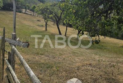 Teren de vanzare 8.300 mp Plesi Loman judetul Alba - 7