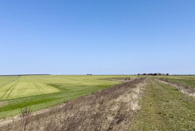 Avans 500 euro - Teren de investitie la Mare! Statiunea Costinesti 444 mp - 5