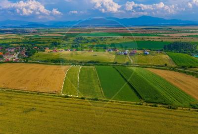 Oportunitate pentru fermieri: 10.800 mp teren arabil în Rotbav, Brașov - 6
