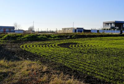 TEREN de colt 740mp zona privata exclusivista Izvorani Delta Snagov la 100m lac - 9