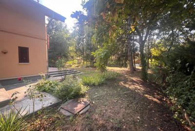 Paradisul Verde, 2.000 mp pentru o reședință care intră în elita cartierului - 8