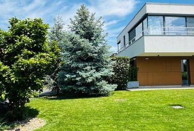 Vila Minimalista cu  Design Deosebit, 4 Dormitoare, Inchiriere, Corbeanca - 11