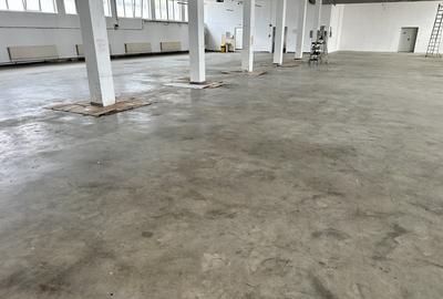 Spațiu industrial, de 1,200.00 mp, în Industrială
