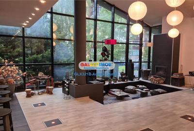 Casă cu 5 camere în Platoul Izvor