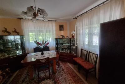 CASA DE VANZARE IN SERCAITA - 24