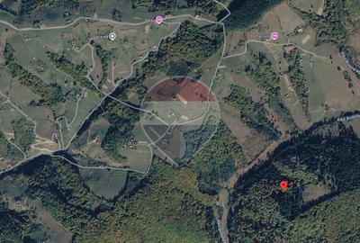 Teren Poiana Marului, 2053mp,  741mp si 3906mp inconjurat de padure - 4