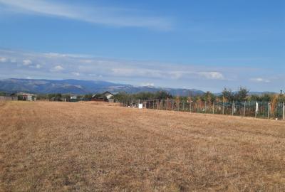 Teren agricol extravilan de 1500 mp, în Șelimbăr