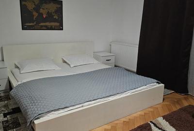 Casă individuală cu 3 dormitoare și teren de 500 mp, de închiriat în Ghiroda - 10