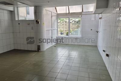 Sapient | Spațiu comercial – Centru Civic, Oradea - 9