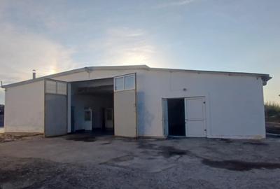 Hala de 471mp in Catamaresti Deal - 1