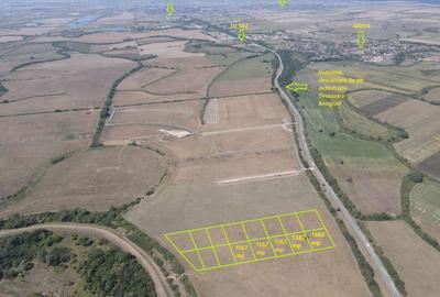 Teren Construcții intravilan de 1567 mp, în Moșnița Nouă