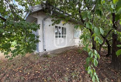Casa + 1.600 MP teren Intravilan – Băișești | Aproape de Școală - 14