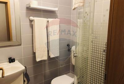 DECEBAL RESORT 4* – Afacere de vânzare | Dubova, Cazanele Dunării - 8
