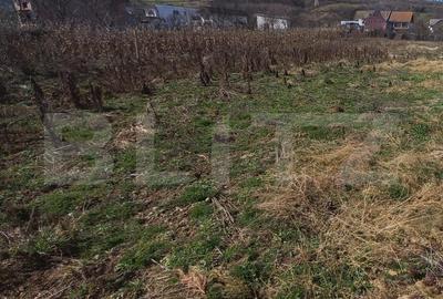 Teren Construcții intravilan de 1200 mp, în Viișoara