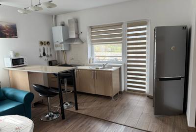 APARTAMENT LUX IN SELIMBAR - 30