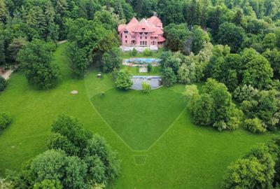 Palatul Stirbei - Darmanesti - 15