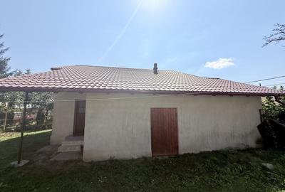 Casa interbelică cu arhitectură deosebită+Anexa și teren 1570 mp - 21