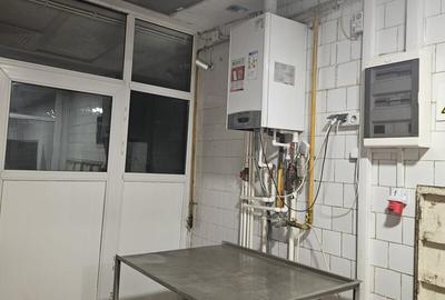 VILĂ P+1 CU SPAȚIU DE PRODUCȚIE ȘI BIROURI – ZONA ȘTEFAN CEL MARE - 2