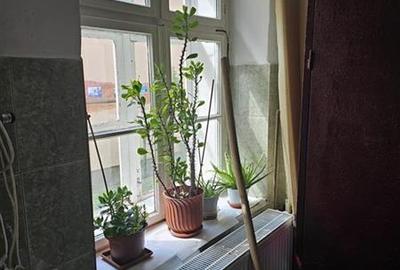 Spatiu comercial de inchiriat, 75 mp, Zona Lungă! - 11
