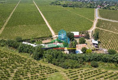Birou, de 1,600 mp, în Vârteșcoiu