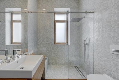 Inchiriere 4 camere in vila zona Plantelor - Dr. Burghelea - 30