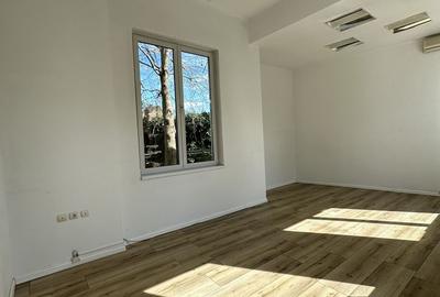 Vila Impozanta Langa Parcul Gradina Icoanei - 17