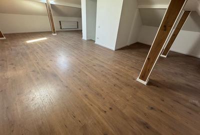Individuala Otopeni, Odaile, curte MARE, 6 CAMERE - 12