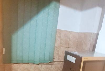 Apartament 2 camere zona Parcul Tineretului - 7