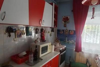 Garsoniera-BRANCOVEANU-ORASELUL-COPIILOR - 6