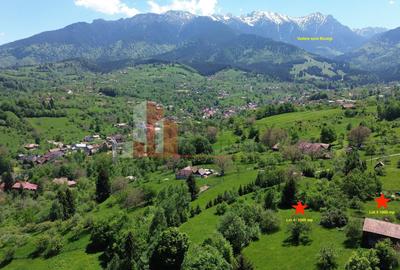Loturi de teren 1.000 mp | Poarta – Bran | Vedere panoramică către Munții Bucegi - 2
