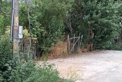 Teren Intravilan  in Tismana (Comuna Devesel), la 200 ml de Dunare - 4