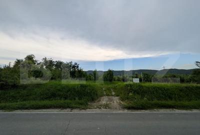 Teren Construcții intravilan de 4500 mp, în Voinești