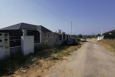 Casa la rosu în Plaiul Vulcănești - 7
