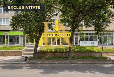 Spatiu Comercial de vanzare Soseaua Salaj Stradal - 1