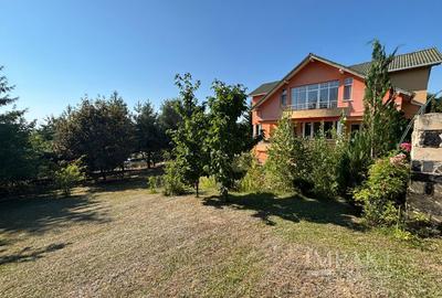 Casă individuală cu 5 camere în Făget