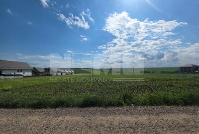 Teren intravilan 5.000 mp | Sfântul Ilie – UAT Șcheia | 425.000 € - 3