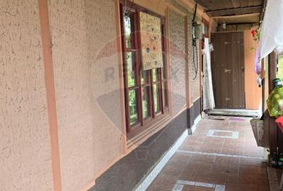 Domeniu rural, gospodarie/multifunctionala cu casa, livada, vie - 32