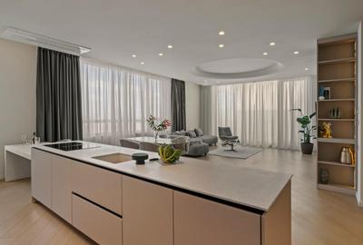 Penthouse langa Marriot Floreasca, nou, prima inchiriere, garaj subteran - 12