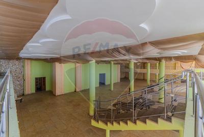 Activ Hotelier SubEvaluat | 18.000 mp construiti | 3 ha teren | BRASOV - 48