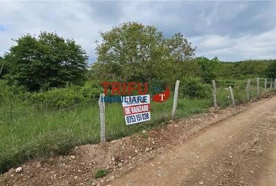 Teren Construcții intravilan de 2000 mp, în Ampoi 1