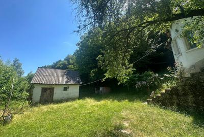Casa de vacanta 98 mp| 25.000 mp teren| zona Valea Vintului - 3
