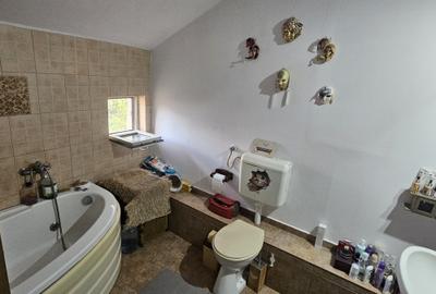 Casă individuală cu SAD, P+M, 2 apartamente, Timișoara, zona Lipovei, comision 0 - 33