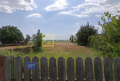 Teren 5000 mp, Dumbrava - Itesti, jud. Bacau, la E85 - 1