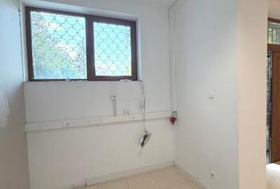 Spatiu Comercial | Domenii | Ion Mihalache | Stradal | Parcare - 6