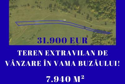 Teren agricol extravilan de 7940 mp, în Vama Buzăului